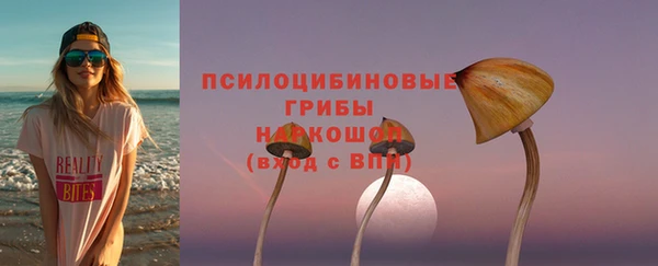mix Богородск