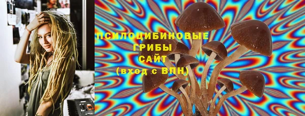мдма Богданович