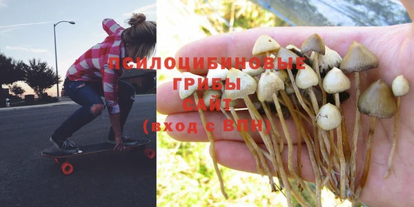 ГАЛЛЮЦИНОГЕННЫЕ ГРИБЫ Богородицк